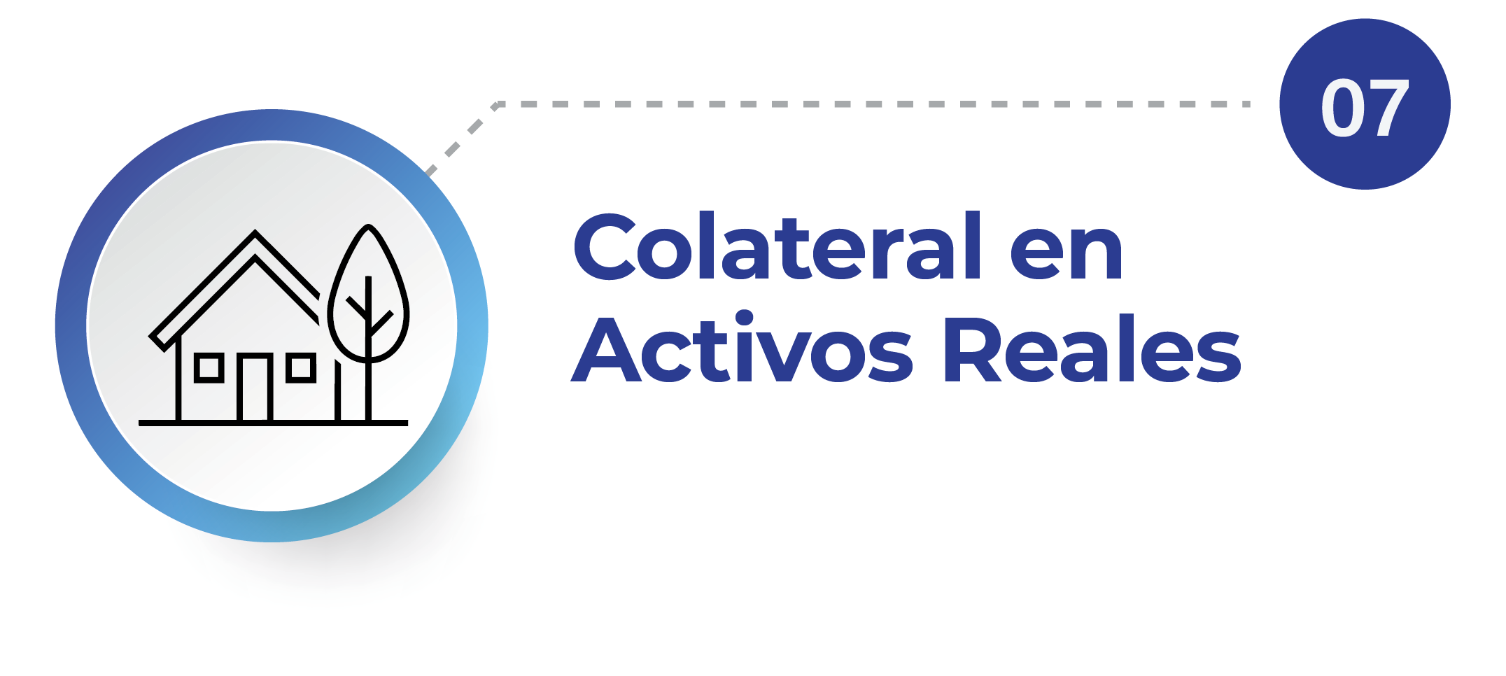 07 Colateral en Activos Reales